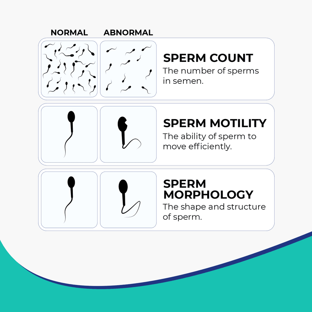 Tryception - Male Fertility Support
