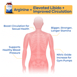 L-Arginine - Nitric Oxide Booster